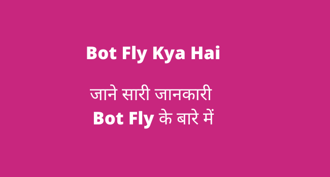 Bot Fly Kya Hai